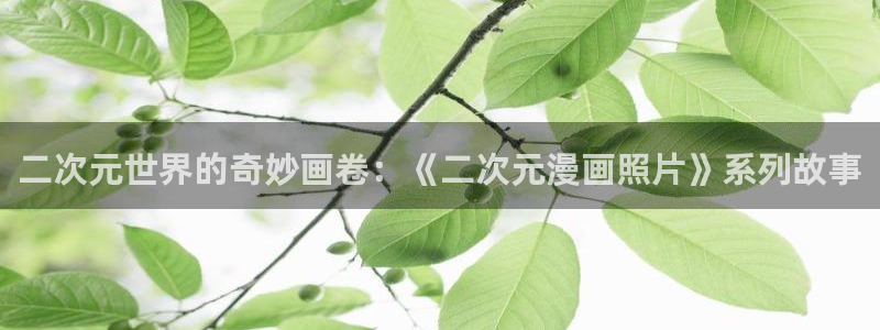 禁漫天堂i8comic：二次元世界的奇妙画卷：《二次元漫画照片》系列故事