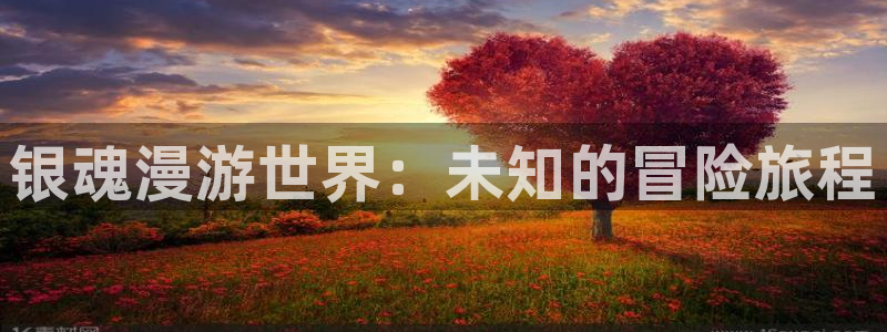 禁漫天堂官网入口：银魂漫游世界：未知的冒险旅程