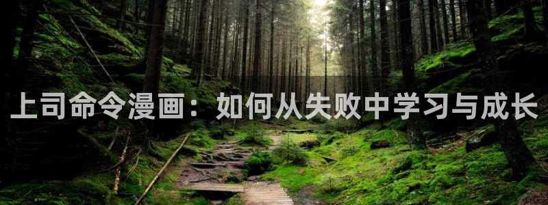 禁漫天堂网止：上司命令漫画：如何从失败中学习与成长