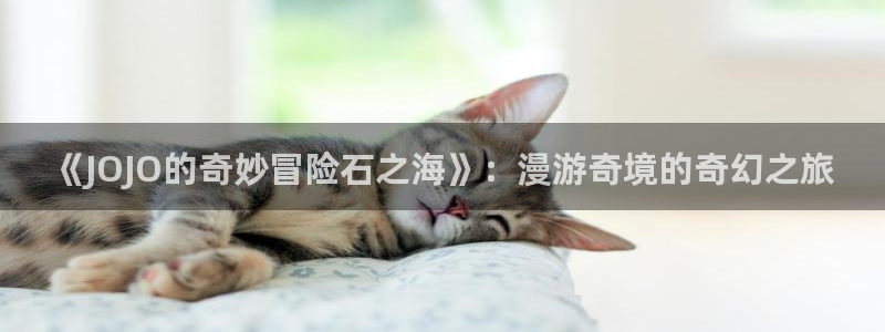 禁漫天堂免费阅读：《JOJO的奇妙冒险石之海》：漫游奇境的奇幻之旅