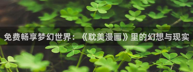 禁漫天堂的网站：免费畅享梦幻世界：《耽美漫画》里的幻想与现实